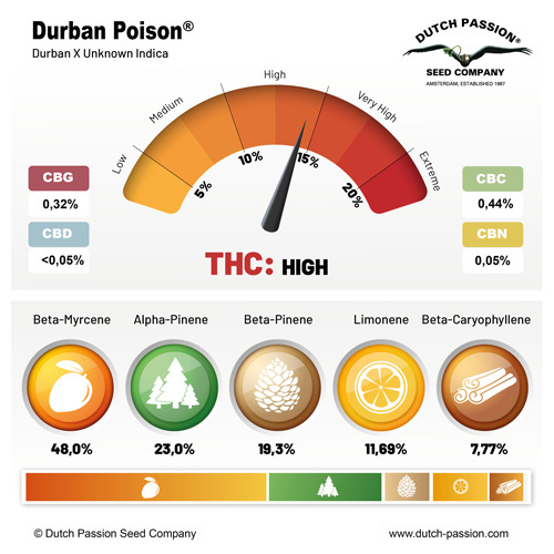 high thc rating